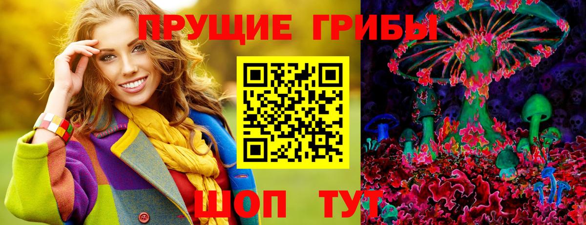 Урус-Мартан  Галлюциногенные грибы Psilocybine cubensis  Вход с VPN 